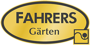 footer-logo
