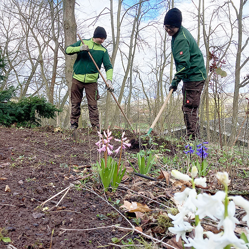 Gartenpflege